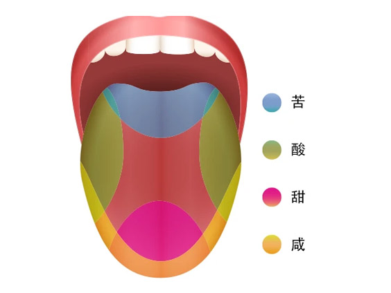 鼻吸_口吸_肺吸_学会这三种抽吸方式，可以更好的体验电子烟的口味